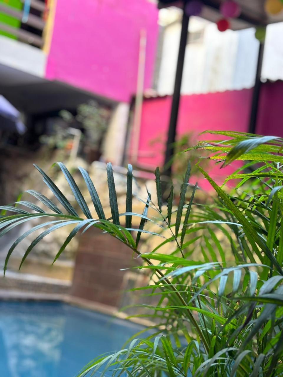 Playa Sayulita Hotel ภายนอก รูปภาพ