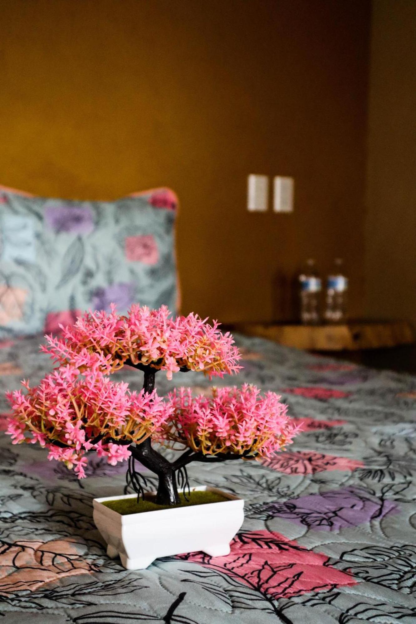 Playa Sayulita Hotel ภายนอก รูปภาพ